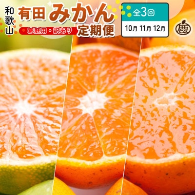【発送月固定定期便】家庭用 柑橘定期便SS(10～12月)全3回【配送不可地域：離島・北海道・沖縄県】