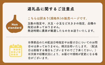 にんにく 訳あり（規格外）約2kg 【hi-0042-037】