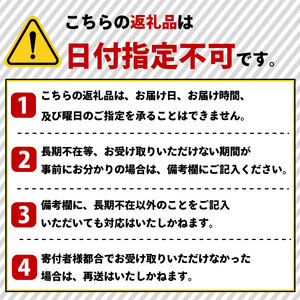 052-4 とうもろこし ホワイトコーン 10～13本 約5㎏ 糖度 17～20度 雪の妖精 甘い 美味しい 野菜 バーベキュー 産地直送 新鮮 生鮮 食品 山本耕業 静岡県 牧之原市