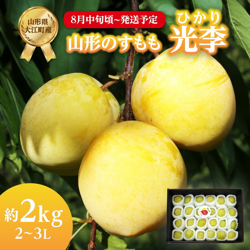 【ふるさと納税】《先行予約》すもも「光李（ひかり）」約2kg 2～3L【2025年8月中旬頃～発送予定】【山形プラム・大江町産】 高糖度 夏 フルーツ 数量限定 果物 8月 すもも ジューシー プラム
