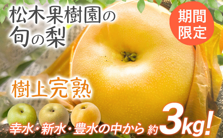 
                  数量限定 先行予約 旬の梨 約3kg 幸水 豊水 新水 松木果樹園  ≪7月下旬～9月上旬 順次出荷予定≫ 農家直送 樹上完熟 甘い ジューシー フルーツ 果物 果汁 ギフト 福岡県 福岡 九州 グルメ お取り寄せ
                