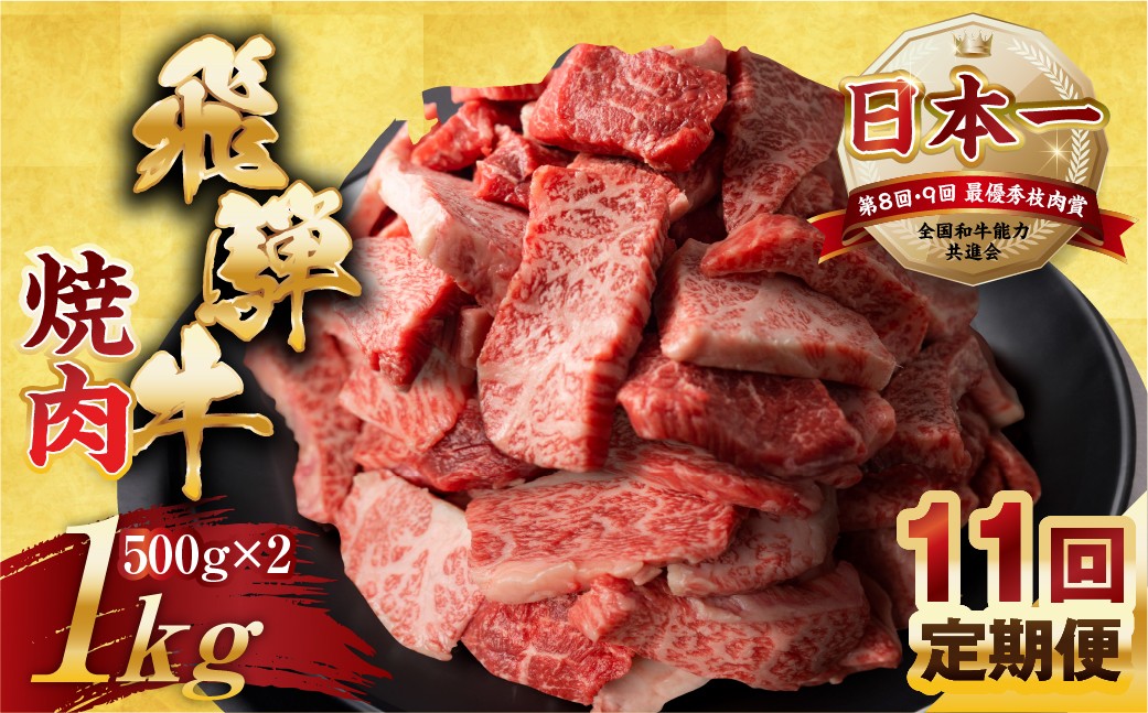 
                  【定期便】訳あり 飛騨牛 焼肉 切り落とし 500g × 2 計 1kg 11回お届け定期便 | 牛肉 肉 切落し わけあり ぎゅうにく にく ひだぎゅう ひだうし 訳あり 商品 ワケアリ 不揃い 小分け 切り落とし きりおとし 小分け 冷凍 本巣市 トキノ屋 食品 訳有 焼肉セット 焼肉用
                
