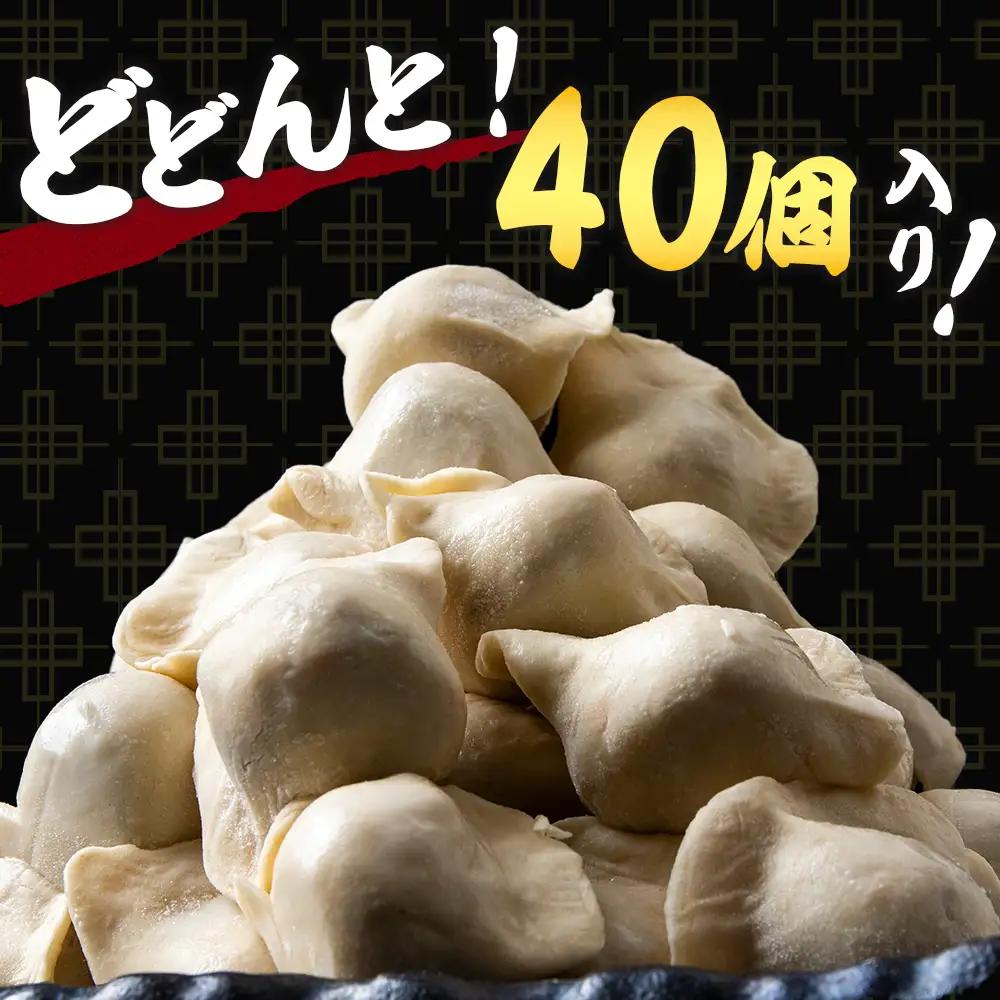 だぶだぶな肉汁をすすりたくなる餃子ちぃーず40個入（20個入×2パック） BE009