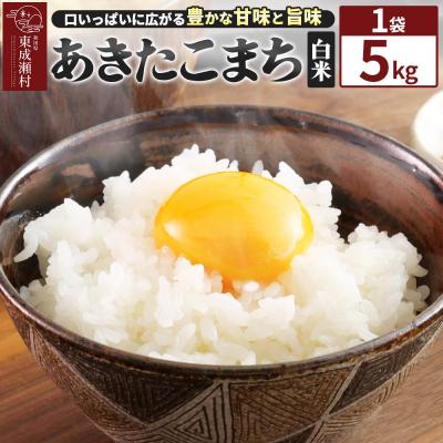 ふるさと納税 東成瀬村 米【白米】東成瀬村産 あきたこまち 5kg(5kg×1袋)|07_tws-040101