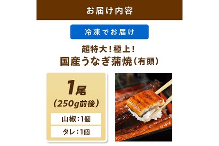 【14営業日以内発送】超特大！極上！国産うなぎ蒲焼 1尾 250g前後 ＜鰻の蒲焼き ウナギのかば焼き 超特大うなぎのかばやき 肉厚うなぎのカバヤキ スタミナ 土用の丑の日うなぎ 小分けうなぎ＞
