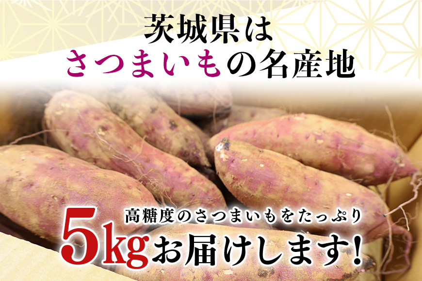 干し芋屋のさつまいも（紅はるか） 5kg サツマイモ さつま芋 生芋 べにはるか ベニハルカ 国産 茨城県産 12-R