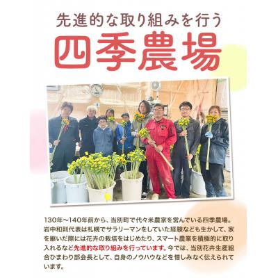 ふるさと納税 当別町 カラー切花30本入り(3〜4品種　計30本) |  | 01