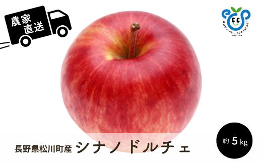 HF44-25A 【信州松川町産】シナノドルチェ 約5kg ／9月中旬頃発送開始予定 // 長野県 南信州  減農薬栽培 りんご シナノドルチェ エコファーマー認証