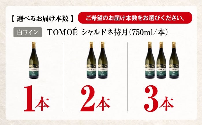 ワイン 受賞 飲み比べ 受賞 飲み比べ ワインセット ギフト  贈答 ギフト