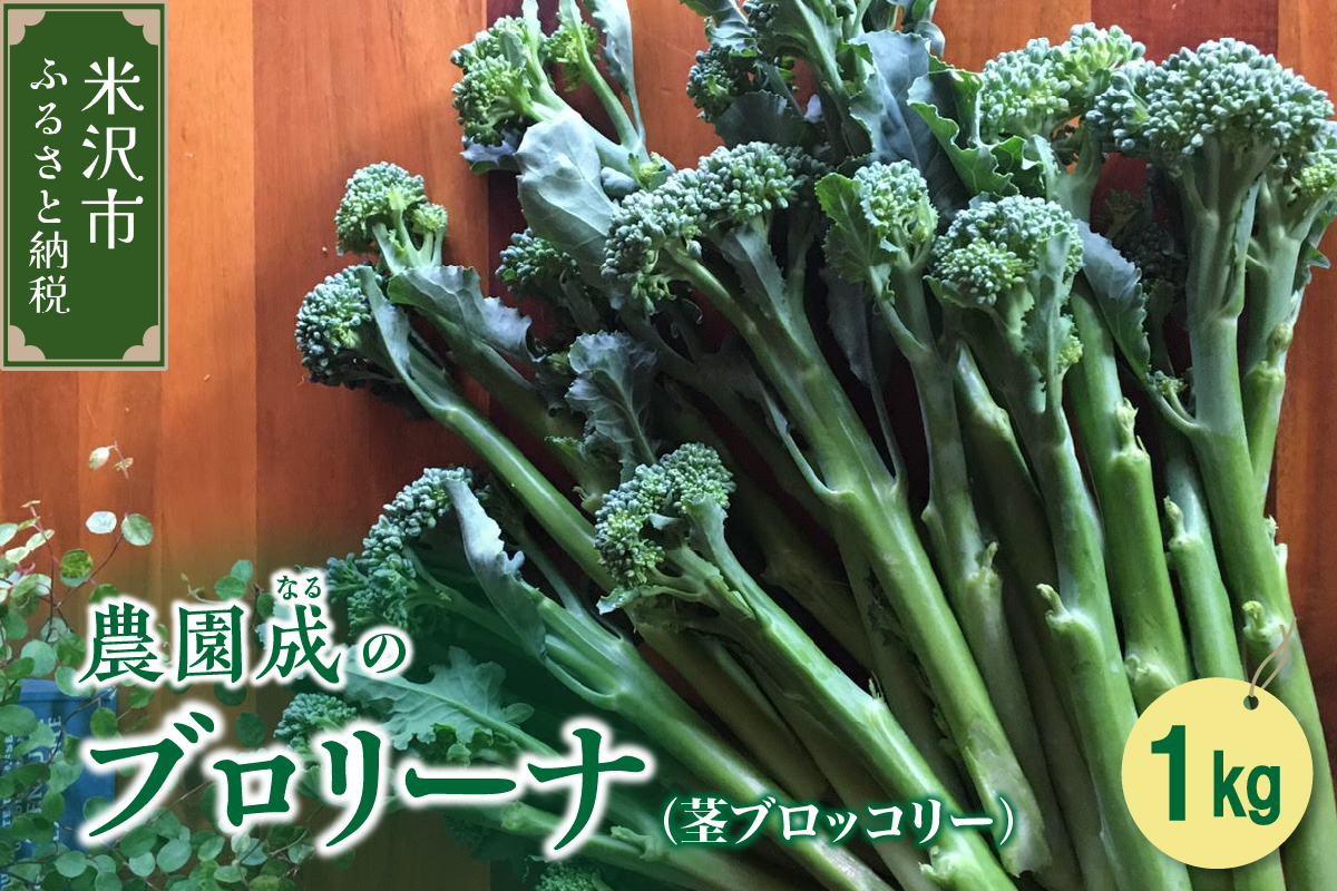 【 令和8年産 】 ブロリーナ 1kg （ 茎ブロッコリー ） 〔 2026年 10月～発送予定 〕 スティックセニョール ブロッコリー 野菜 産地直送 農家直送 2026年産