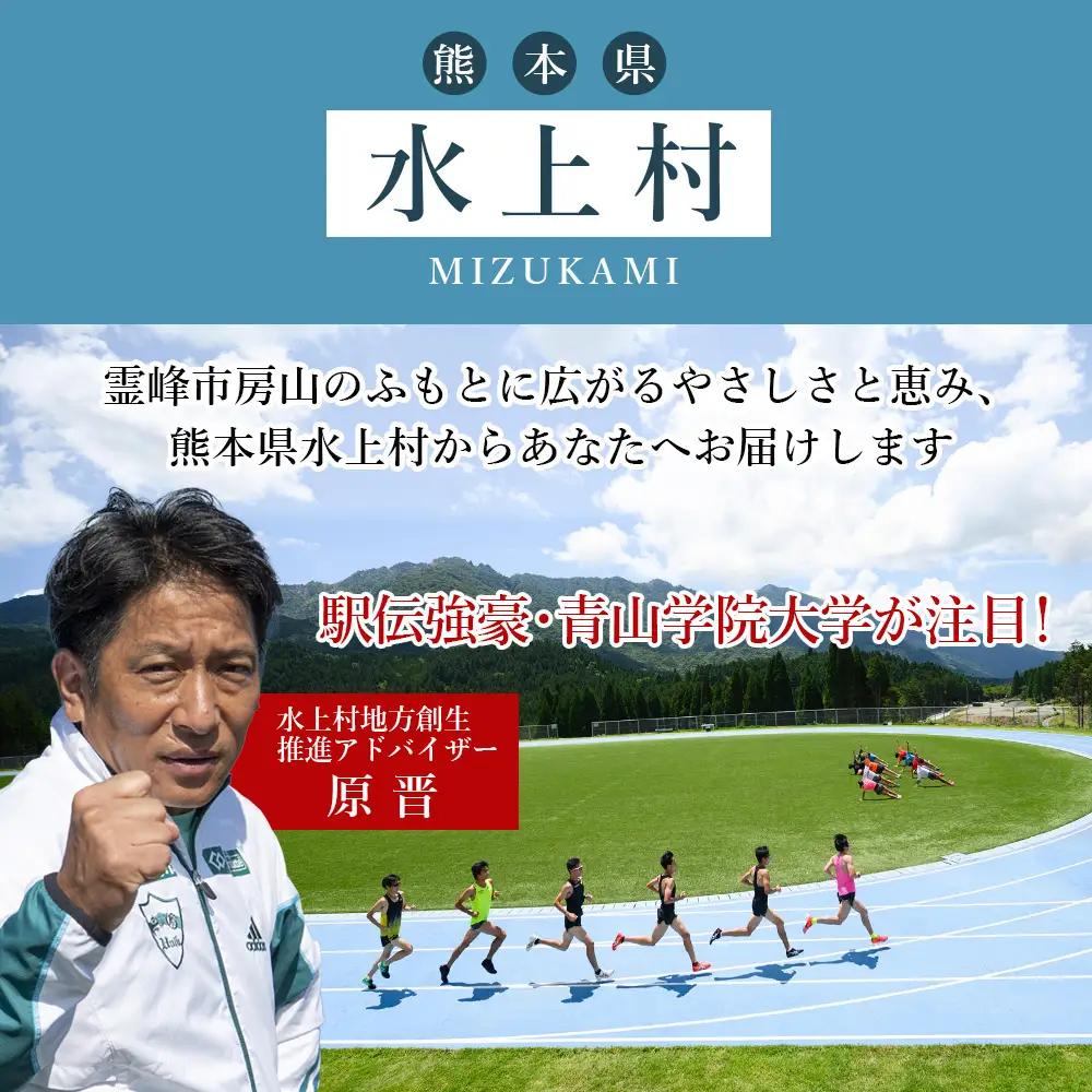  【ふるさと納税】 最古蔵 6本 10.8L 25度 焼酎 米 米焼酎 お酒 酒 アルコール 瓶 熊本県産 大容量 球磨 熊本県 水上村