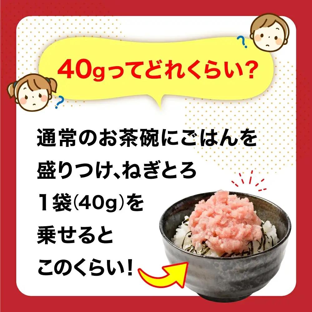 スパリゾートハワイアンズ　施設利用券3,000円分＋訳アリ 福島製造 ねぎとろ使い切りパック 約240g（約40g×6パック） | 利用チケット 入場券 ホテルハワイアンズ モノリスタワー ウイルポー