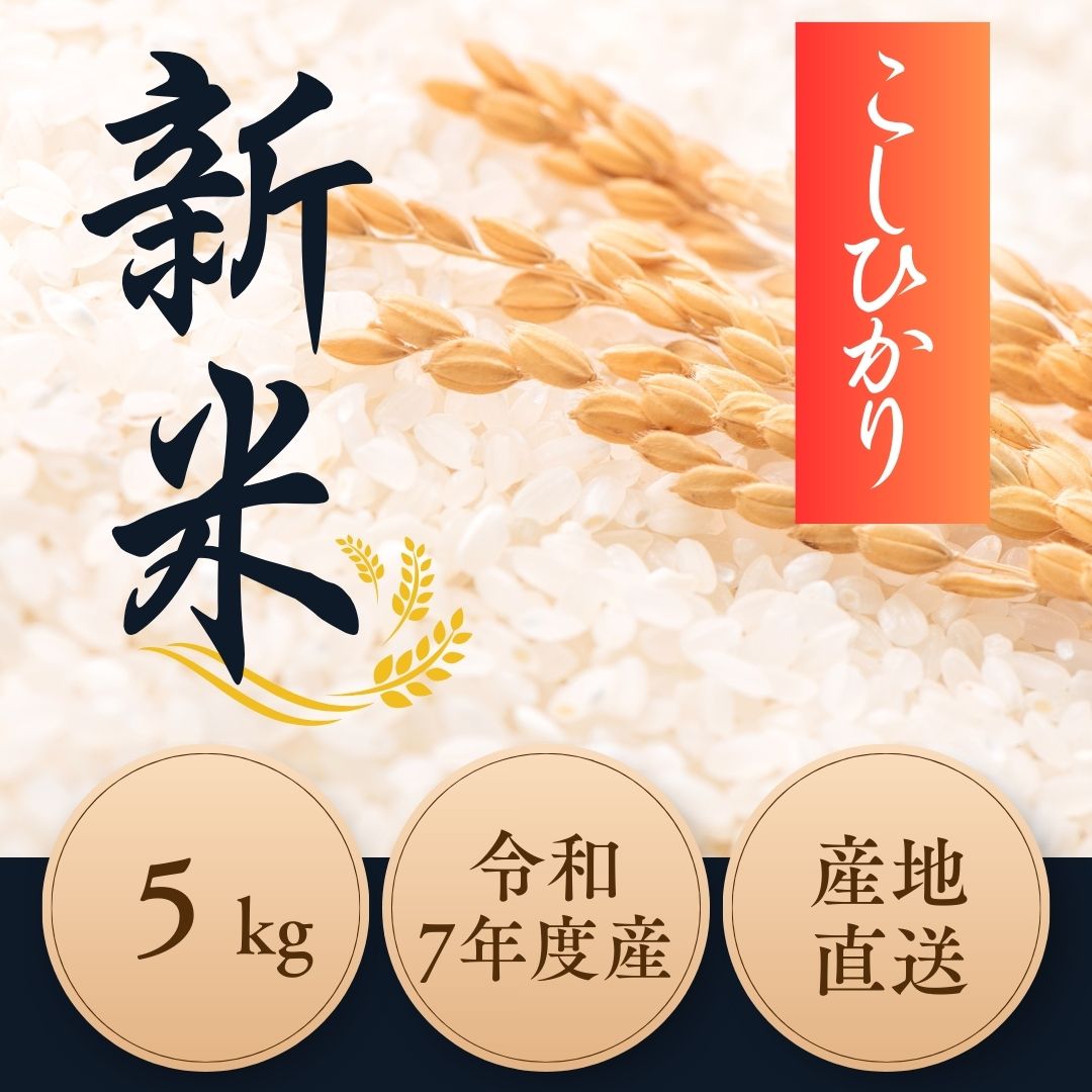 2B5 令和7年度産 新米コシヒカリ 5kg