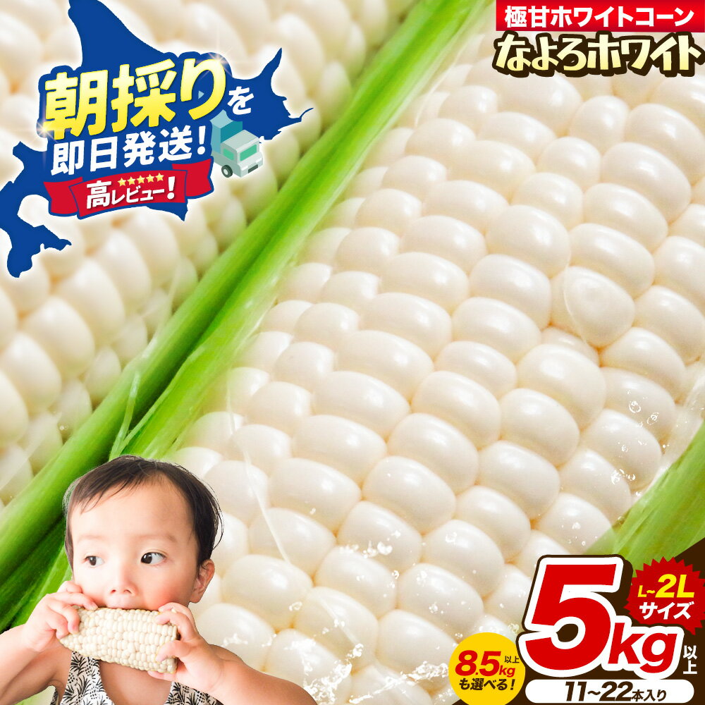 【ふるさと納税】先行予約 | 白いとうもろこし なよろホワイト 選べる2サイズ 5kg/8.5kg 北海道 名寄市産 糖度17-18度 生で食べられる 朝採り 産地直送 ピュアホワイト 幻の白い宝石 特大 お中元 ギフト 送料無料