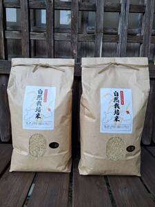 【2026新米先行予約】岩美町産自然栽培米こしひかり（玄米）５kg×２袋｜鳥取 岩美 お米 こめ 玄米 無農薬 無肥料 早期予約【31010】