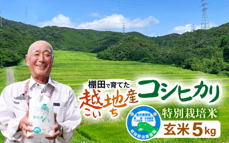 【令和6年 新米】越地 (こいち) 産 特別栽培米 コシヒカリ【玄米】 計5kg [m24-a005]