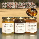 【ふるさと納税】八ケ岳百花蜜＆アカシア花蜜＆八ケ岳そば蜜160g3本セット　【蜂蜜・はちみつ】