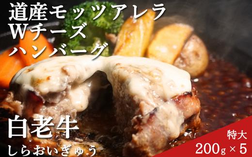 道産和牛ダブルチーズハンバーグ（200g）5個入り 【 ふるさと納税 人気 おすすめ ランキング 北海道産 和牛 ダブルチーズ Wチーズ ハンバーグ 肉 肉厚 チーズ モッツァレラチーズ デミグラス セット 大容量 詰合せ 北海道 室蘭市 送料無料 】 MROA047