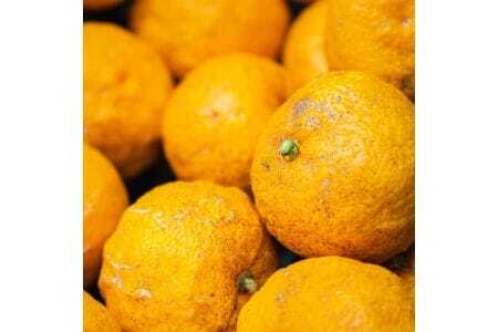 【大阪能勢産】 ゆずシロップ 3本セット