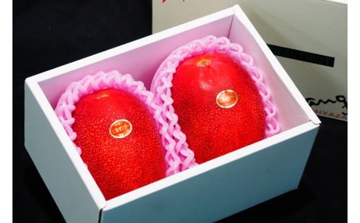 KU020 ＜先行予約・数量限定＞完熟マンゴー・赤秀(1kg・2〜3玉) 【串間市大束農業協同組合】