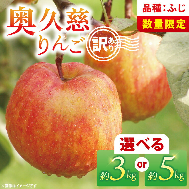 【ふるさと納税】【訳あり】【選べる内容量】【11月より順次発送予定】三村観光りんご園の奥久慈りんご「ふじ」約5kg｜不揃い 規格外 傷あり 色むら 家庭用 茨城県 大子町 林檎 旬 果物 フルーツ 果実 フルーツ 甘い ジューシー みずみずしい(BX011)