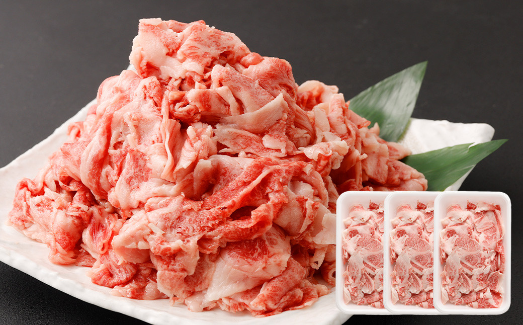 
                  大阪産 和牛 なにわ黒牛 切り落とし 750g （250g×3パック）｜ ブランド 冷凍 国産 小分け 牛丼 ギフト しゃぶしゃぶ すき焼き 肉じゃが 牛丼  肉 お肉 牛肉 牛 黒毛和牛 和牛 赤身 切り落とし ステーキ 焼肉 焼き肉 焼肉セット BBQ バーベキュー キャンプ アウトドア 国産 日本産 贈答 贈答用 お中元 お歳暮 大阪府 阪南市
                