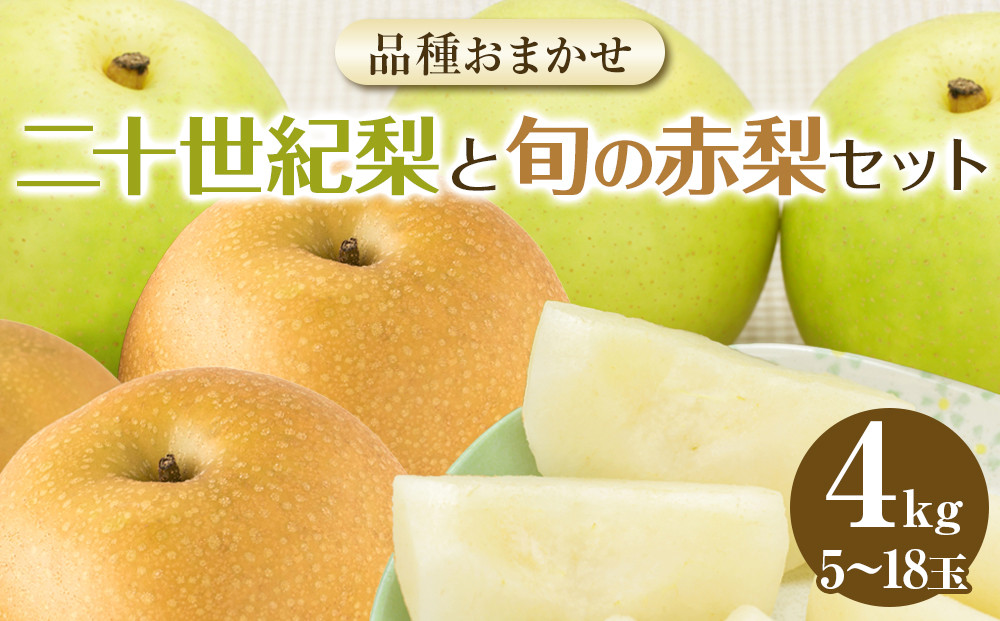 【ポイント交換専用】283.【先行予約】【品種はおまかせ】二十世紀梨と旬の赤梨セット◇≪二十世紀梨 幸水 秋栄 豊水 新甘泉 しんかんせん 新高梨 セット≫　※2025年8月下旬～9月下旬頃に順次発送予定 313726_AN059-P