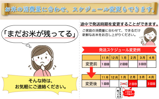 ＜令和6年産米受付　配送時期指定可＞　はえぬき【無洗米】60kg定期便(20kg×3回)　戸沢村 お申込後約2週間で発送