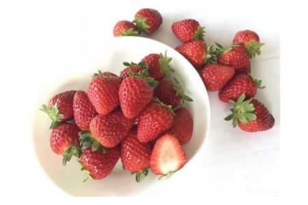 和歌山のいちご「大粒まりひめ」４パック(B460-1)