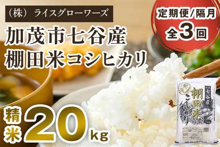 【令和8年産新米先行予約】【定期便3回隔月お届け】七谷産 棚田米コシヒカリ 精米20kg（5kg×4）《10月上旬～順次出荷》 白米 （株）ライスグローワーズ