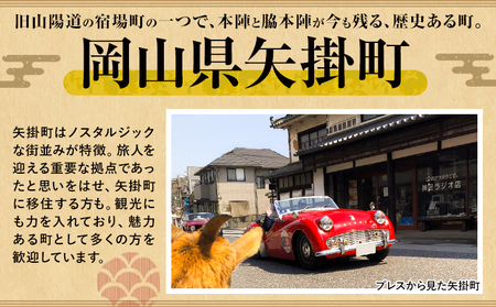 【2026年発送】シャインマスカット ぶどう 岡山県産 シャインマスカットと旬のぶどうセット 約1kg 2房 Grapes garden goat《2026年8月中旬～10月上旬頃に出荷予定(土日祝除