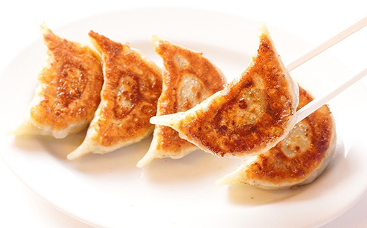 佐野ブランド認証品 らーめん大金の国産野菜がギュッと詰まった大ぶりの手作り冷凍餃子　12粒×2パック【配送不可地域：離島・沖縄県】