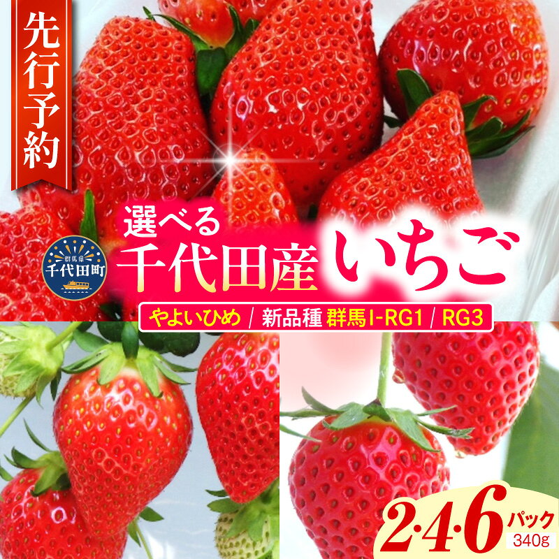 【ふるさと納税】【先行予約】群馬県の人気いちご 「 やよいひめ・新品種RG1・RG3 」約340g《 選べる 2パック 4パック 6パック /1月 2月 3月 4月 5月 》 群馬県 千代田町 完熟収穫 新鮮 数量限定 甘い イチゴ 苺 ギフト プレゼント 果物 フルーツ お試し 2027年産