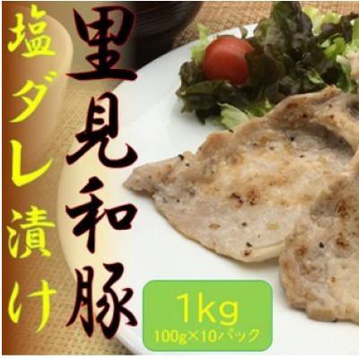 ふるさと納税 南房総市 里見和豚　焼き肉用ロース塩だれ漬け　1kg(小分け100g×10パック)