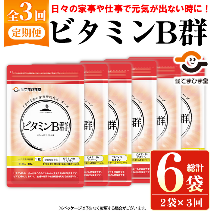 No.1300-A ＜定期便・全3回(隔月)＞ビタミンB群(1袋31粒入/2袋×3回・計6袋) 鹿児島 日置市 健康食品 サプリ 栄養バランス 食生活 安心安全 ビタミン 定期便 【てまひま堂】