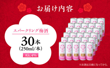 スパークリング梅酒 1ケース(250ml×30本入り)　日田市 / 株式会社おおやま夢工房 梅酒 梅 スパークリング[ARCW012]