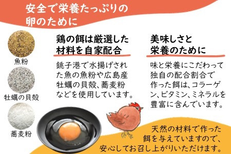 【定期便６か月】卵 30個 新鮮たまご 産卵後2日以内 10個×3箱 2L L ミックス 養鶏場直送 