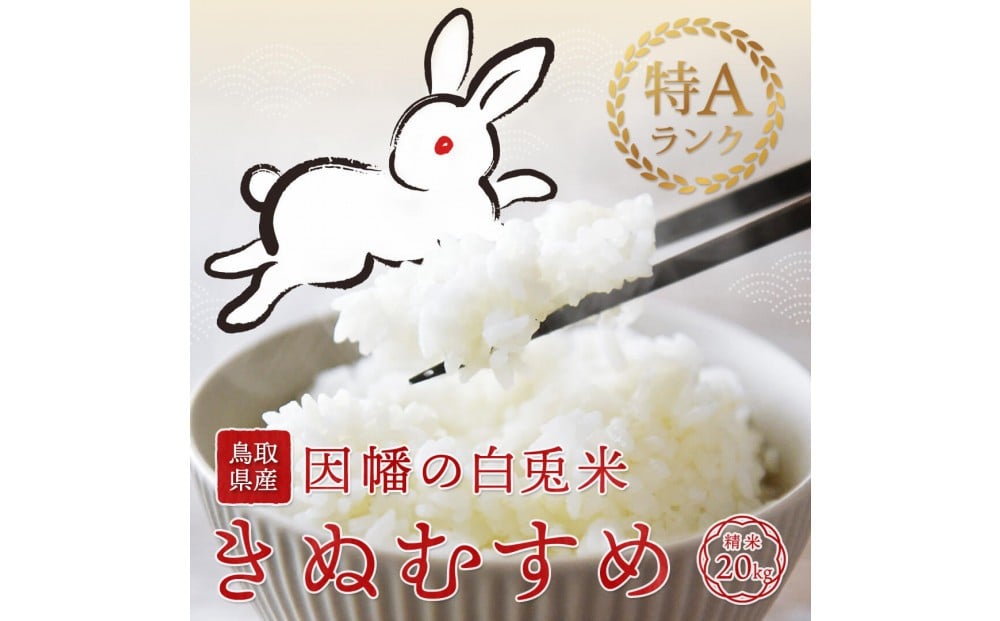 
                  【令和7年度産】因幡の白兎米 きぬむすめ 精米済 20kg ( 5kg×4袋 )
                