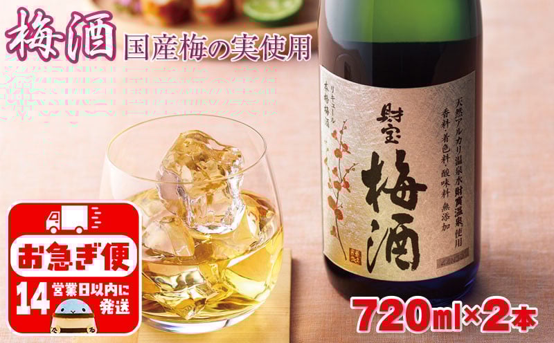 
W-22167／濃厚な味わい！梅酒2本
