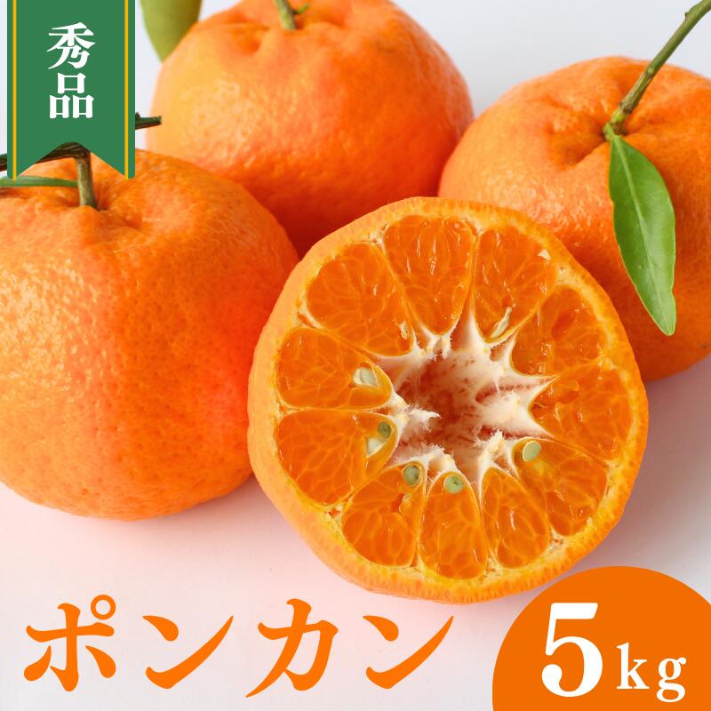 【ふるさと納税】 ＜先行予約＞ポンカン【秀品】5kg ※2027年1月中旬～2月下旬頃に順次発送予定【期間限定・数量限定】 / ぽんかん 柑橘 季節限定 お取り寄せ 産地直送 贈答品 ギフト 果物 フルーツ 田辺市 和歌山県
