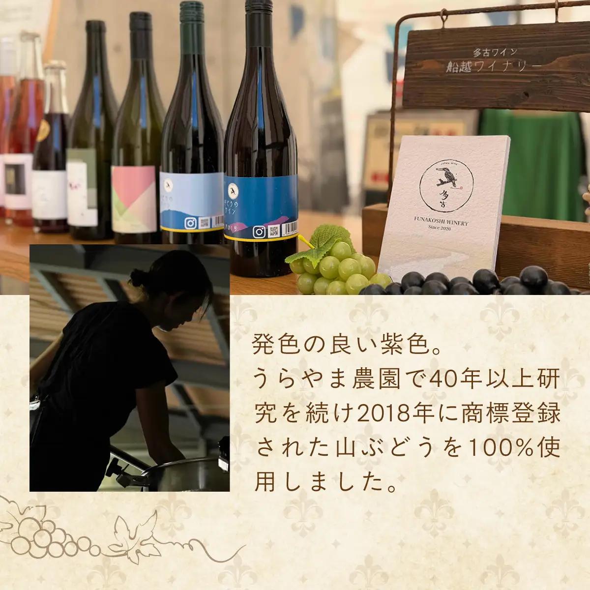 多古ワイン2021・山ぶどう月山1号【赤】【日本ワイン】750ml・1本_酒・アルコール 赤ワイン ワイン _【配送不可地域：離島・沖縄県】 TAKM002