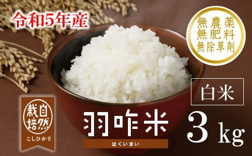 
[A016] 【無農薬】【白米】能登のこだわり自然栽培こしひかり『羽咋米』 ３kg
