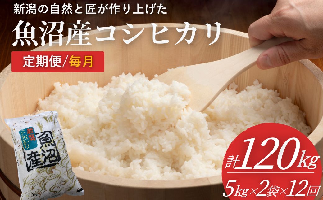 米 コシヒカリ魚沼産コシヒカリ 魚沼コシヒカリ 定期便  計120kg (5kg2袋×12回)  毎月お届け 令和7年産 精米 共栄農工社 | 魚沼産こしひかり 魚沼こしひかり 新潟県産コシヒカリ 新潟産コシヒカリ 新潟県産こしひかり こしひかり 新潟産こしひかり 新潟こしひかり 新潟コシヒカリ お米 白米 おこめ コメ オコメ にいがた 新潟県 小千谷市 【0002-KY28DB00】