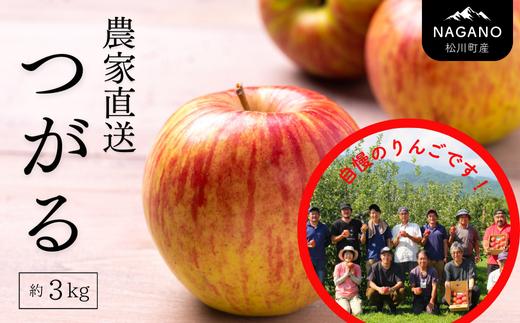 KR22-26A 【先行予約】りんご つがる 約3kg 贈答 / 2026年8月下旬頃～配送予定 // 長野県 南信州 ギフト 贈答 リンゴ 林檎 つがる 農家直送 農家支援 産地直送