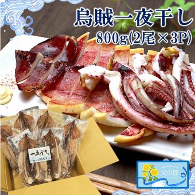 ふるさと納税 国東市 【父の日ギフト】逸品!磯武の国産肉厚烏賊 一夜干し800g ( 2尾×3P )_2556R