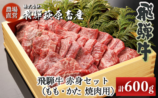 
飛騨牛赤身焼肉セット 600g（もも焼肉 300g・かた焼肉 300g）最高級 国産 牛肉 ブランド牛 和牛 焼き肉 ギフト 贈答 【冷凍】
