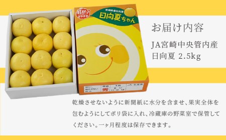 《2025年発送先行予約》【期間・数量限定】日向夏 2.5kg 果物 フルーツ 日向夏