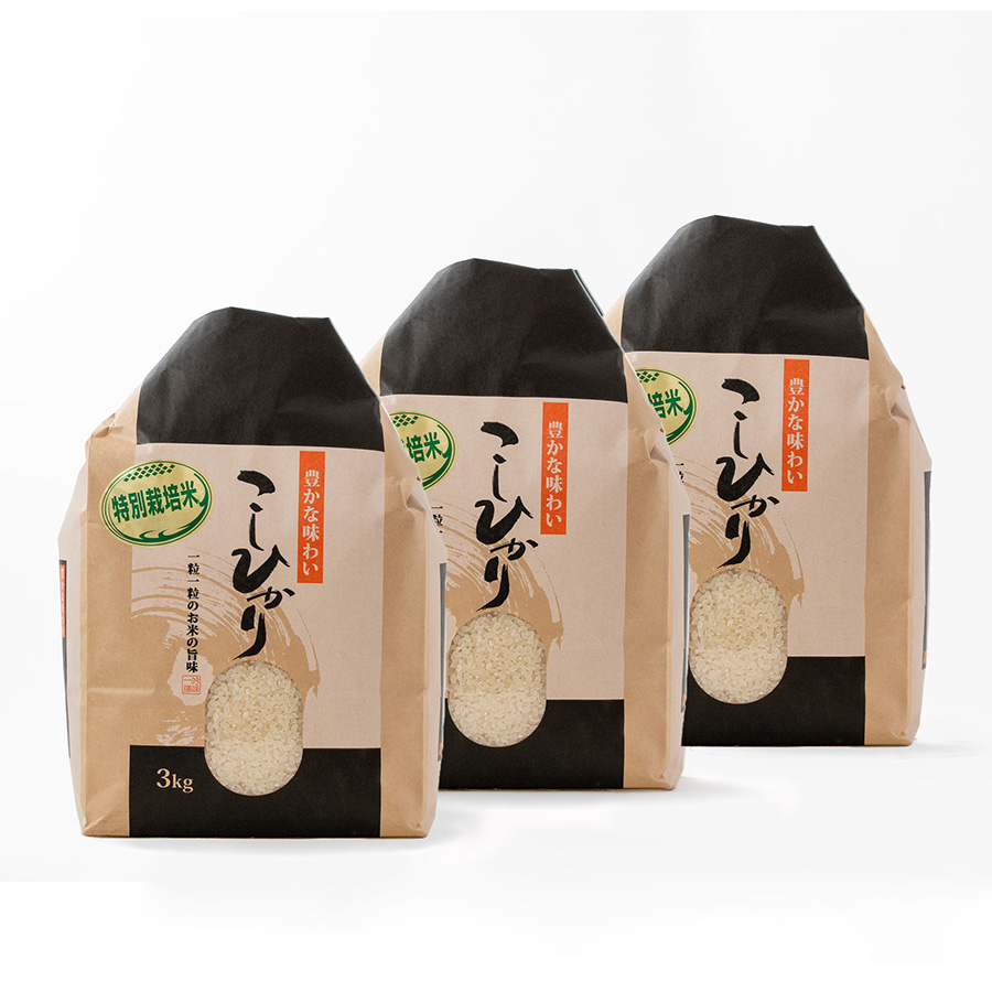 特別栽培米こしひかり3kg　定期便3回