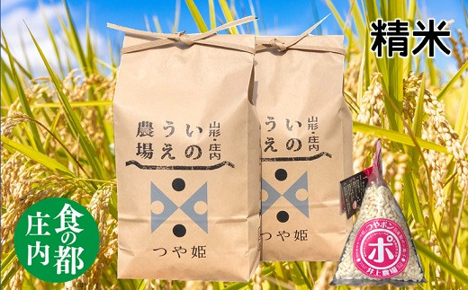 食の都庄内　【令和8年産・精米】特別栽培米つや姫5kg×2袋+つやポン《井上農場》※10月中旬頃より順次配送