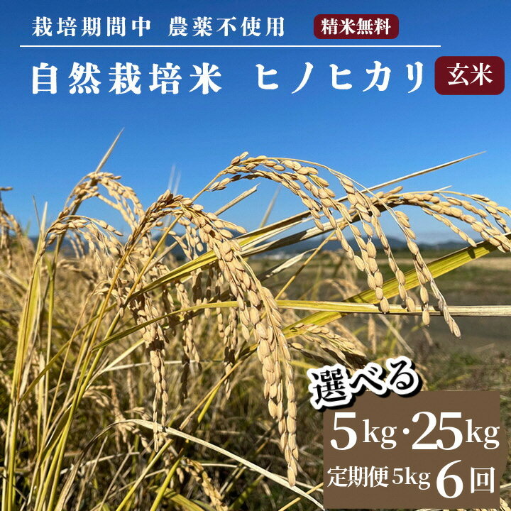 【ふるさと納税】米 予約 令和7年産 自然栽培米 ヒノヒカリ 玄米 5kg / 25kg / 5kg×6ヶ月 定期便 京都府・亀岡産 栽培期間中農薬不使用 ※離島への配送不可 ※2025年12月より順次発送予定 ☆月間MVPふるさと納税賞 第1号（2020年10月）